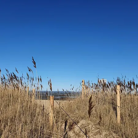 Апартаменты Haus Nordseebrandung D71 Куксхафен